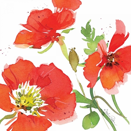 Picture of RED POPPIES I