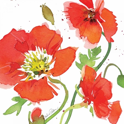 Picture of RED POPPIES II