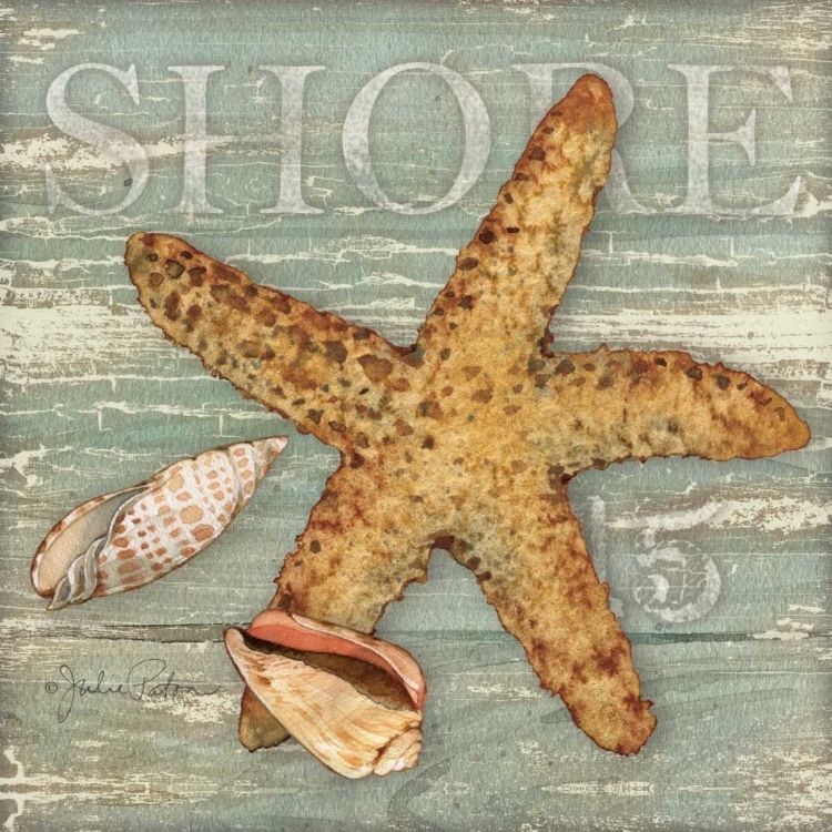 Picture of BEACH SHELLS STARFISH