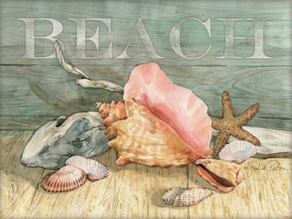 Picture of BEACH SHELLS STILL LIFE
