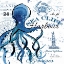Picture of SEA CLIFF OCTOPUS