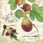 Picture of CUCINA ITALIANA III