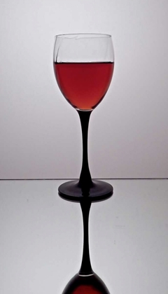Picture of WINE REFLECTIONS IV