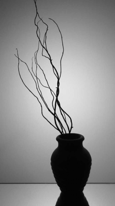 Picture of STILL LIFE SILHOUETTE II