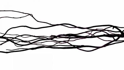 Picture of IM SORRY FOR WHAT I SAID