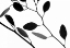 Picture of LUNARIA HONESTY IV