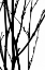 Picture of BRANCH SILHOUETTE III