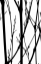 Picture of BRANCH SILHOUETTE IV
