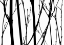 Picture of BRANCH SILHOUETTE V