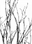 Picture of DANCING BRANCHES III
