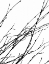 Picture of DANCING BRANCHES IV