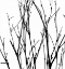 Picture of DANCING BRANCHES V