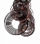 Picture of INTERTWINED IV