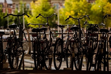 Picture of BICYCLE SILHOUETTES II