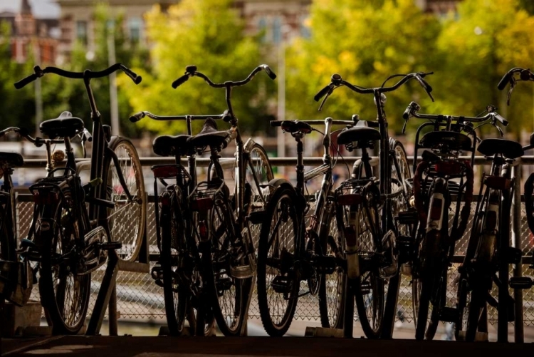 Picture of BICYCLE SILHOUETTES II