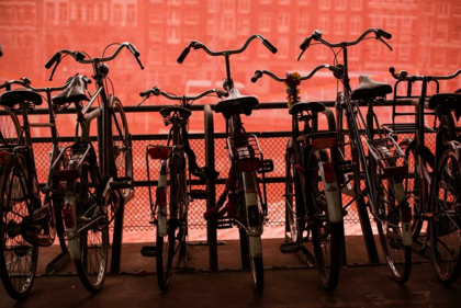 Picture of BICYCLES AT CENTRAAL STATION II
