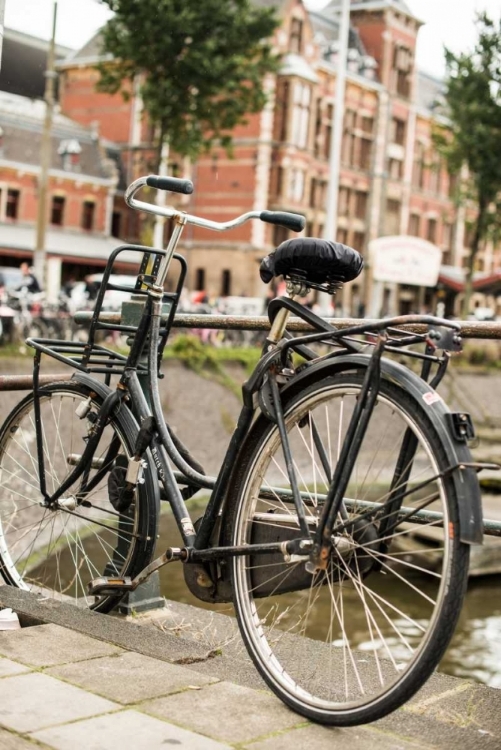 Picture of DUTCH BIKE