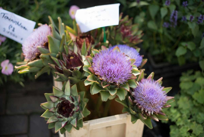 Picture of FARMERS MARKET I