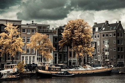 Picture of AMSTERDAM AUTUMN COLORS