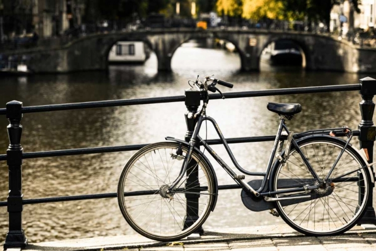 Picture of AMSTERDAM GRAY BICYCLE