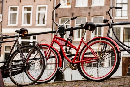Picture of AMSTERDAM RED BICYCLE
