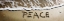 Picture of PEACE