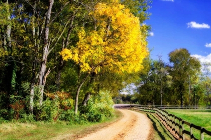 Picture of EARLY VIRGINIA AUTUMN