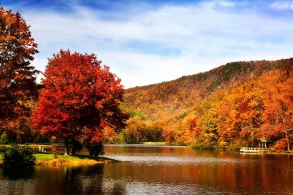 Picture of MOUNTAIN LAKE AUTUMN