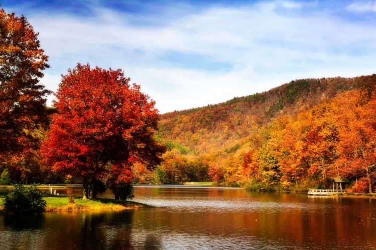 Picture of MOUNTAIN LAKE AUTUMN