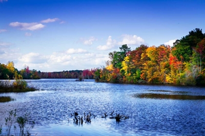 Picture of WIND ON THE LAKE