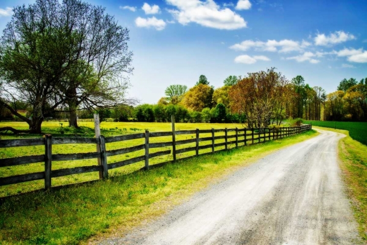 Picture of SPRING ON THE FARM I