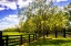 Picture of SPRING ON THE FARM II