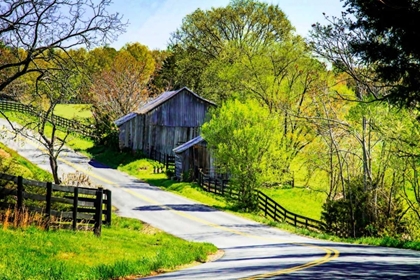 Picture of WINDING ROAD