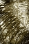 Picture of DANCING LIGHT I
