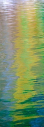 Picture of WATER COLORS I