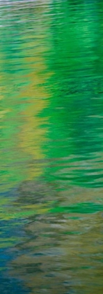 Picture of WATER COLORS II
