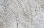 Picture of WEATHERED WOOD II