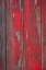 Picture of DISTRESSED I
