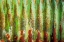 Picture of CORRUGATED METAL