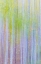 Picture of FOREST BLUR II
