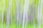 Picture of ASPEN BLUR I