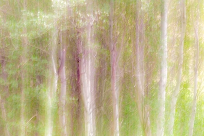 Picture of ASPEN BLUR III