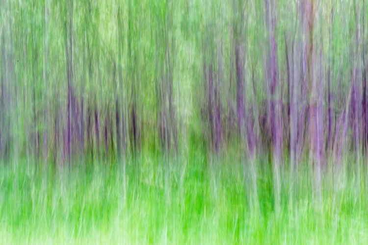 Picture of ASPEN BLUR IV