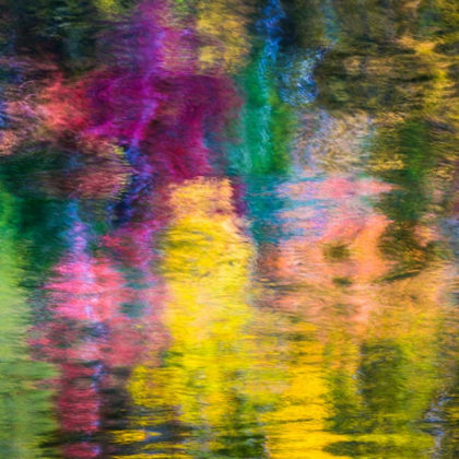 Picture of COLORFUL REFLECTIONS III