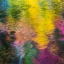 Picture of COLORFUL REFLECTIONS IV