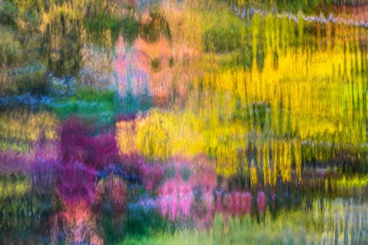 Picture of COLORFUL REFLECTIONS V