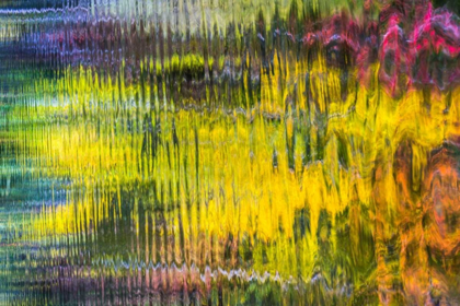 Picture of COLORFUL REFLECTIONS VI