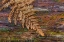 Picture of ON A LOG II