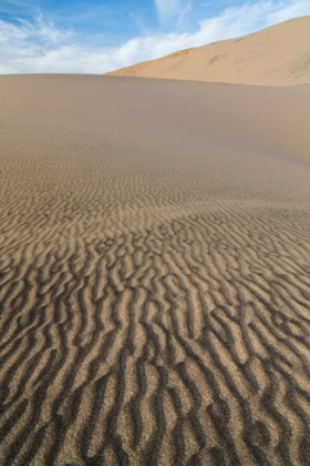 Picture of KELSO DUNES I