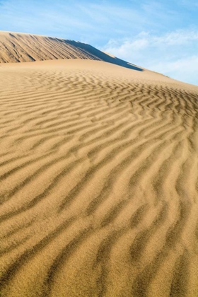 Picture of KELSO DUNES II